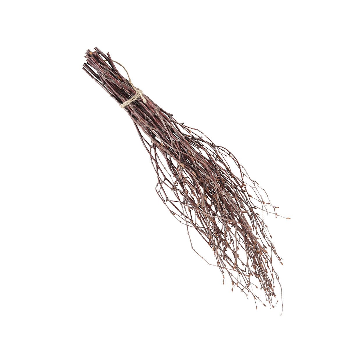 10Pcs 40Cm Premium Birch Branc - Craft Embellishments 评论和价格