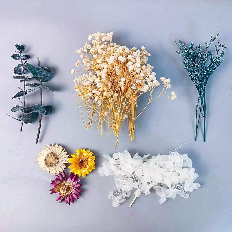 1pack Multifarious Dried Flowe - Craft Embellishments 评论和价格
